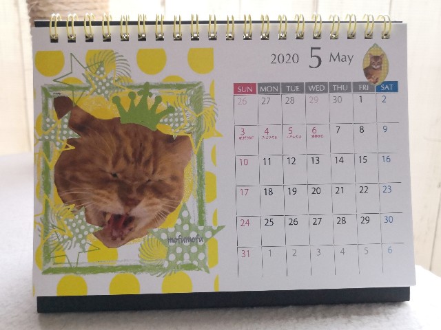 f:id:hiraryo0201:20191123184808j:plain f:id:hiraryo0201:20191123184808j:plain