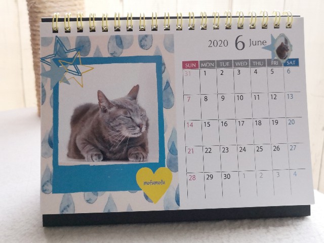 f:id:hiraryo0201:20191123184824j:plain f:id:hiraryo0201:20191123184824j:plain