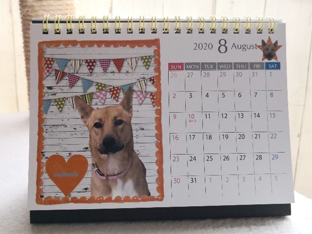 f:id:hiraryo0201:20191123184838j:plain f:id:hiraryo0201:20191123184838j:plain