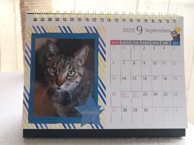 f:id:hiraryo0201:20191123184842j:plain f:id:hiraryo0201:20191123184842j:plain