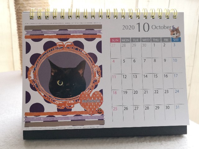 f:id:hiraryo0201:20191123184848j:plain f:id:hiraryo0201:20191123184848j:plain