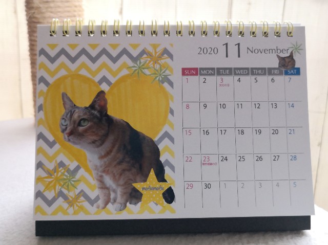 f:id:hiraryo0201:20191123184851j:plain f:id:hiraryo0201:20191123184851j:plain