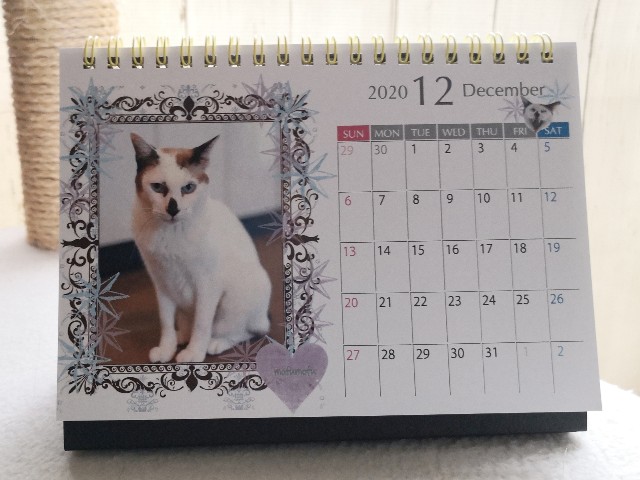 f:id:hiraryo0201:20191123184856j:plain f:id:hiraryo0201:20191123184856j:plain