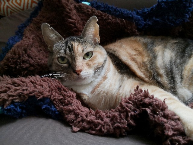 f:id:hiraryo0201:20191124200737j:image f:id:hiraryo0201:20191124200737j:image