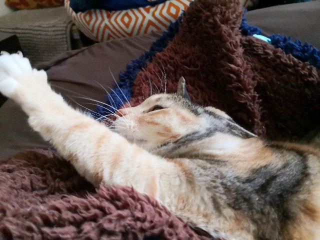 f:id:hiraryo0201:20191124200827j:image f:id:hiraryo0201:20191124200827j:image