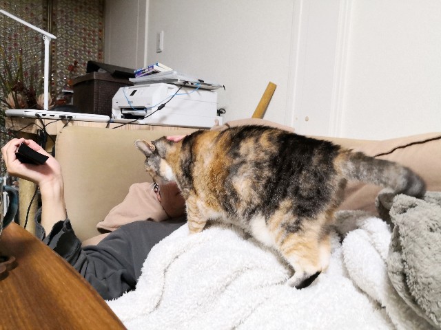 f:id:hiraryo0201:20191202080303j:image