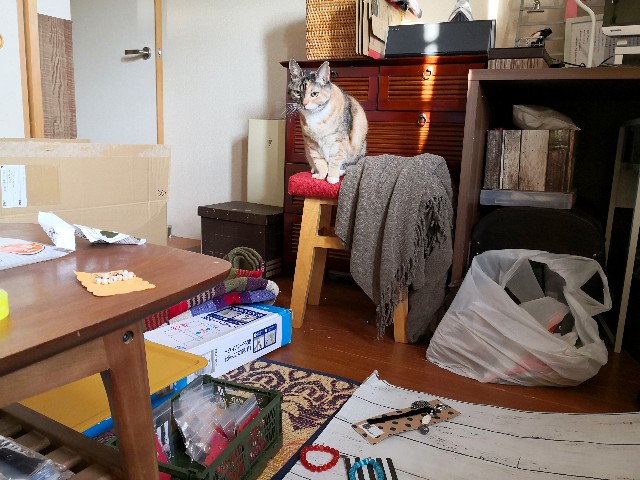 f:id:hiraryo0201:20191202081342j:image