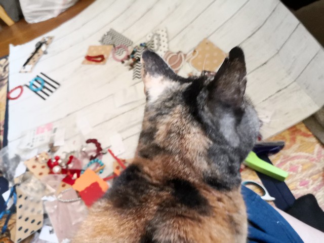 f:id:hiraryo0201:20191202081407j:image