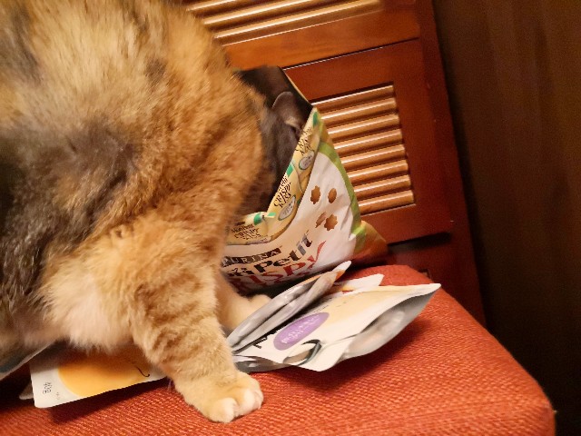 f:id:hiraryo0201:20191202081441j:image