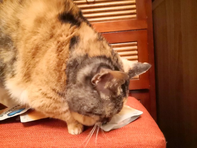f:id:hiraryo0201:20191202081451j:image