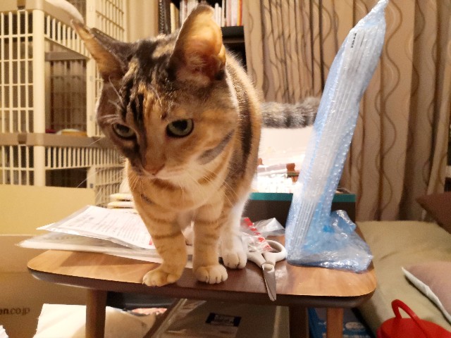 f:id:hiraryo0201:20191202081536j:image