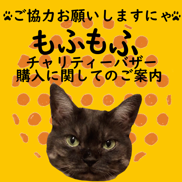 f:id:hiraryo0201:20191208172645j:plain