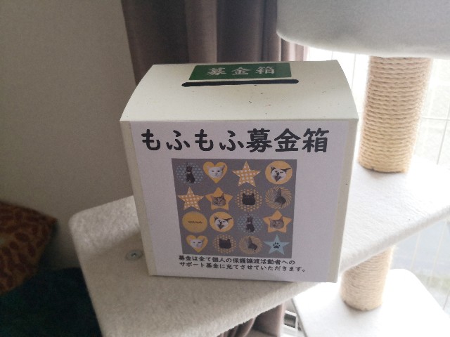 f:id:hiraryo0201:20191209204728j:image