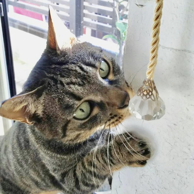 f:id:hiraryo0201:20191212214755j:image f:id:hiraryo0201:20191212214755j:image