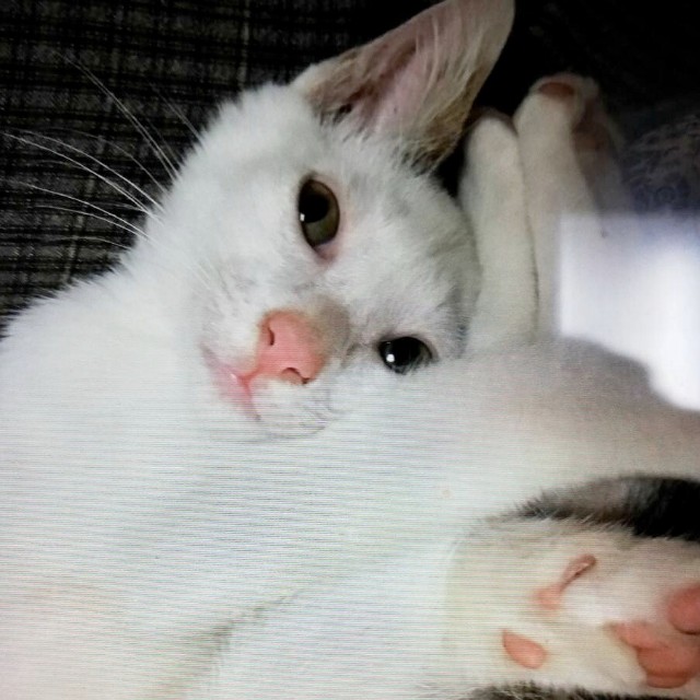 f:id:hiraryo0201:20191212215311j:image f:id:hiraryo0201:20191212215311j:image