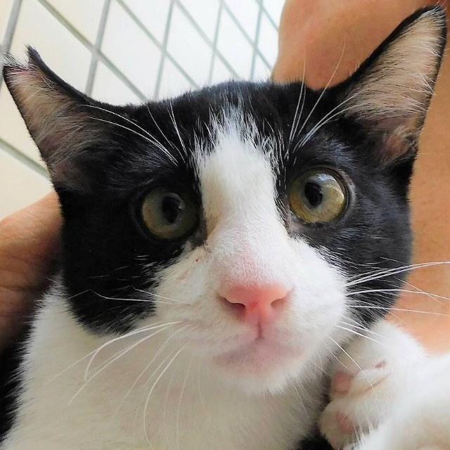 f:id:hiraryo0201:20191212215544j:image f:id:hiraryo0201:20191212215544j:image