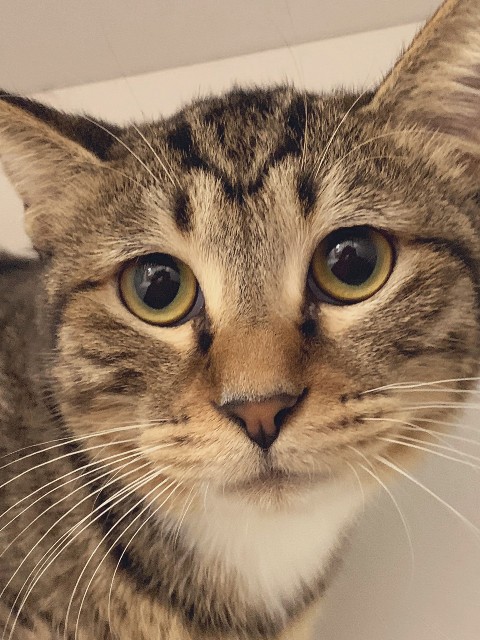 f:id:hiraryo0201:20191212215750j:image f:id:hiraryo0201:20191212215750j:image