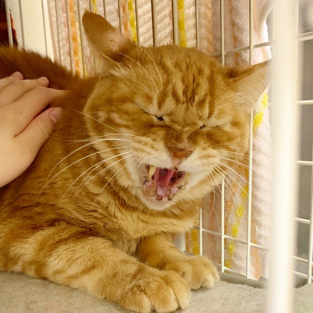 f:id:hiraryo0201:20191212221052j:image f:id:hiraryo0201:20191212221052j:image