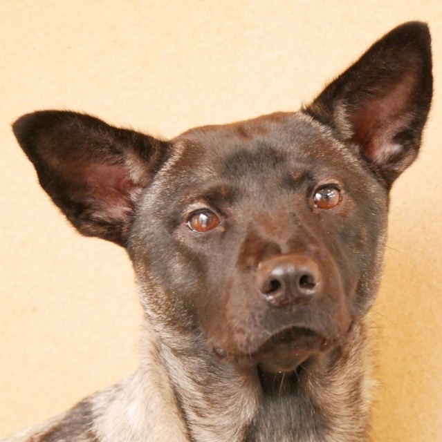 f:id:hiraryo0201:20191212222241j:image f:id:hiraryo0201:20191212222241j:image