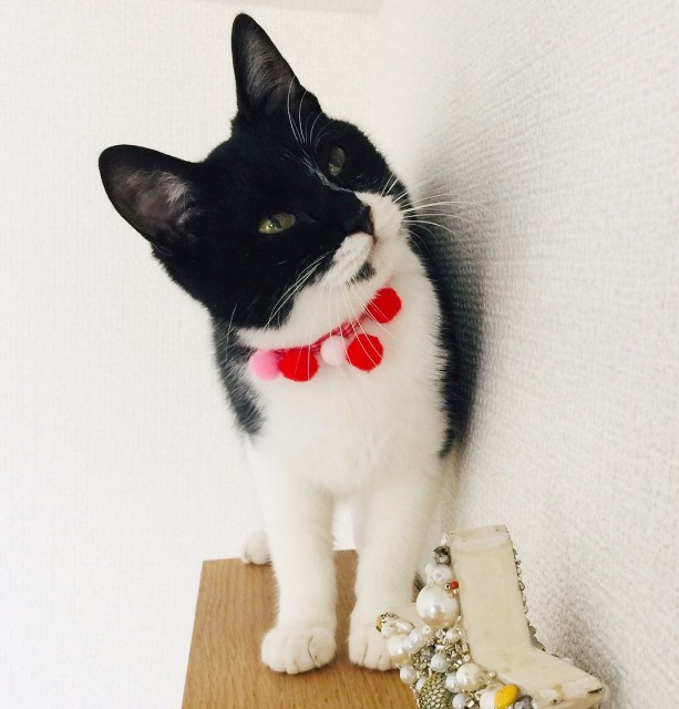 f:id:hiraryo0201:20191213002930j:image f:id:hiraryo0201:20191213002930j:image