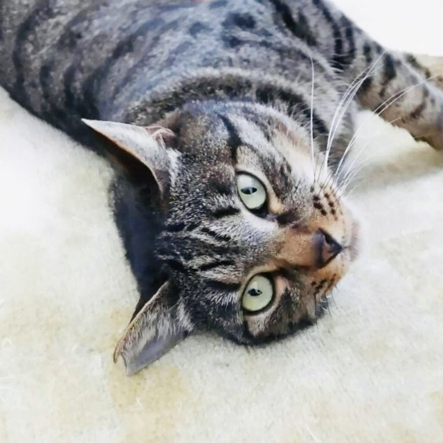 f:id:hiraryo0201:20191213172441j:image f:id:hiraryo0201:20191213172441j:image