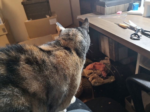 f:id:hiraryo0201:20191213174313j:image