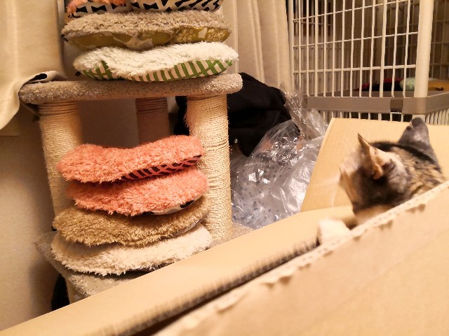 f:id:hiraryo0201:20191221120915j:image