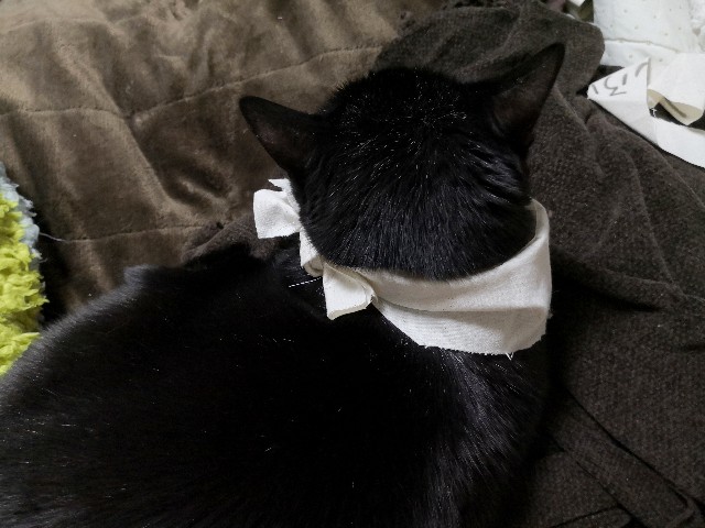 f:id:hiraryo0201:20191221121037j:image