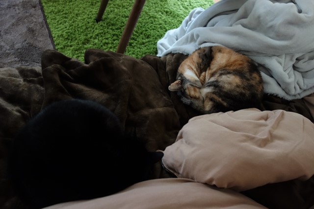 f:id:hiraryo0201:20191228005204j:plain f:id:hiraryo0201:20191228005204j:plain