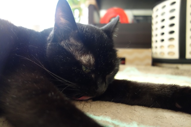 f:id:hiraryo0201:20191231142548j:plain f:id:hiraryo0201:20191231142548j:plain