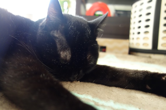 f:id:hiraryo0201:20191231142554j:plain f:id:hiraryo0201:20191231142554j:plain