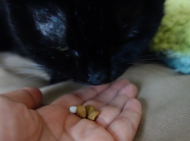 f:id:hiraryo0201:20191231142637j:plain f:id:hiraryo0201:20191231142637j:plain