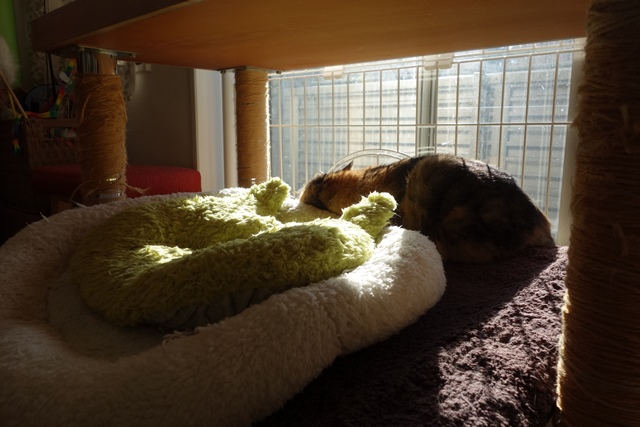 f:id:hiraryo0201:20191231143103j:plain f:id:hiraryo0201:20191231143103j:plain