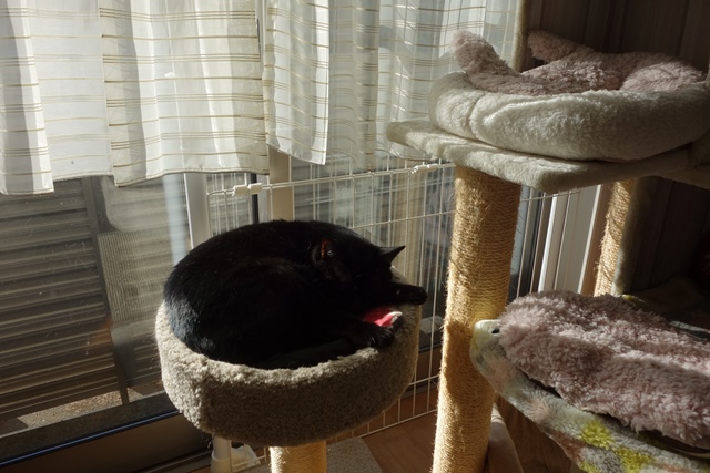 f:id:hiraryo0201:20191231143114j:plain f:id:hiraryo0201:20191231143114j:plain