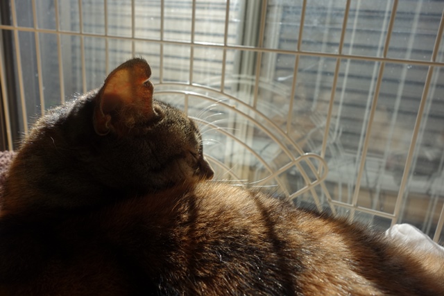 f:id:hiraryo0201:20191231143204j:plain f:id:hiraryo0201:20191231143204j:plain