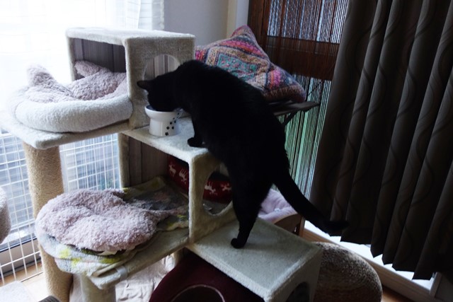 f:id:hiraryo0201:20191231143251j:plain f:id:hiraryo0201:20191231143251j:plain