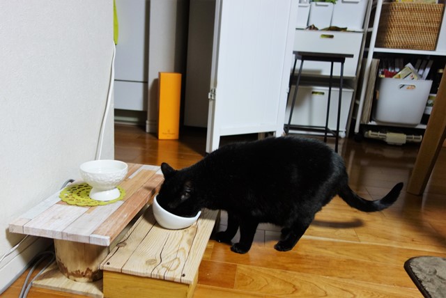 f:id:hiraryo0201:20191231143528j:plain f:id:hiraryo0201:20191231143528j:plain