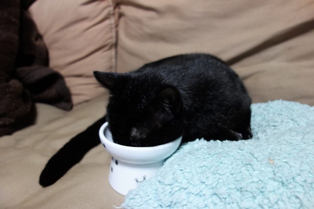 f:id:hiraryo0201:20191231143542j:plain f:id:hiraryo0201:20191231143542j:plain