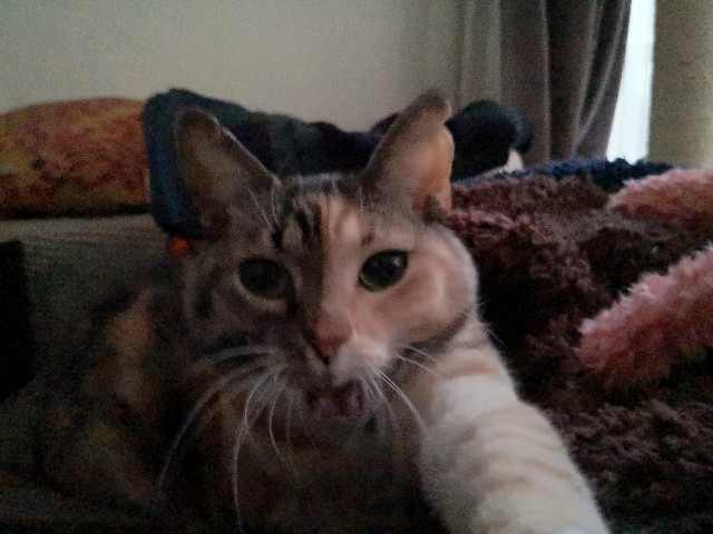 f:id:hiraryo0201:20200104093553j:image f:id:hiraryo0201:20200104093553j:image