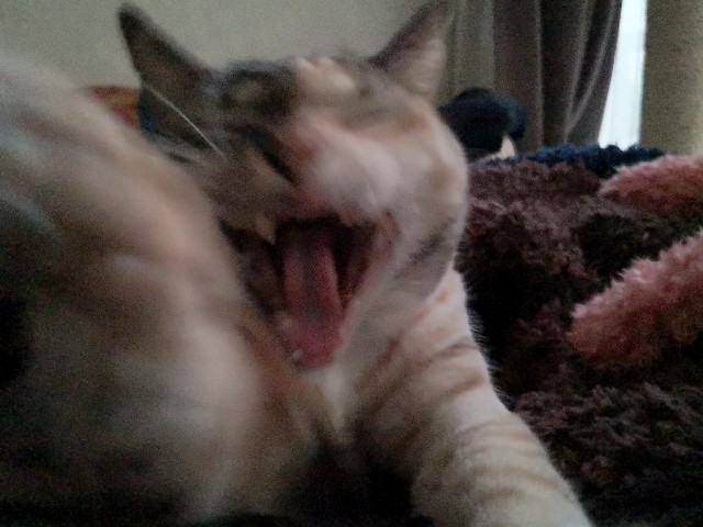 f:id:hiraryo0201:20200104093617j:image f:id:hiraryo0201:20200104093617j:image