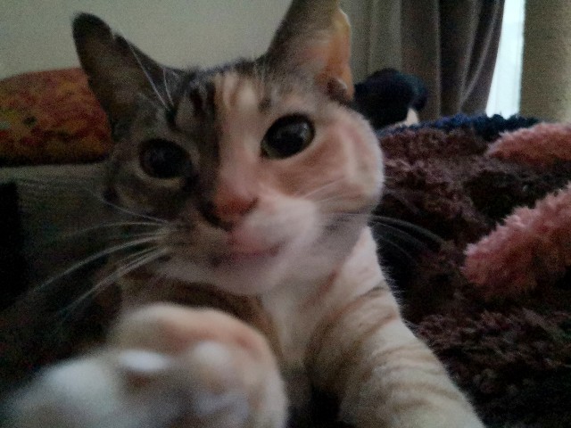 f:id:hiraryo0201:20200104093638j:image f:id:hiraryo0201:20200104093638j:image