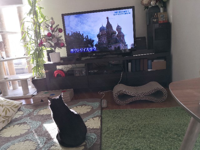 f:id:hiraryo0201:20200104093657j:image f:id:hiraryo0201:20200104093657j:image