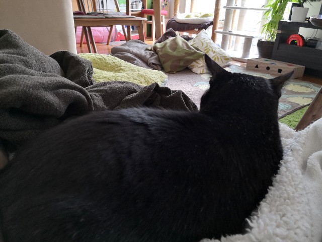 f:id:hiraryo0201:20200104094019j:image f:id:hiraryo0201:20200104094019j:image