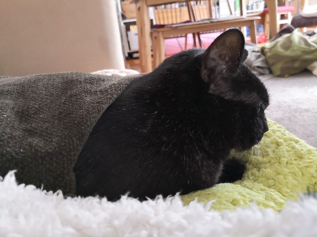 f:id:hiraryo0201:20200104094028j:image f:id:hiraryo0201:20200104094028j:image