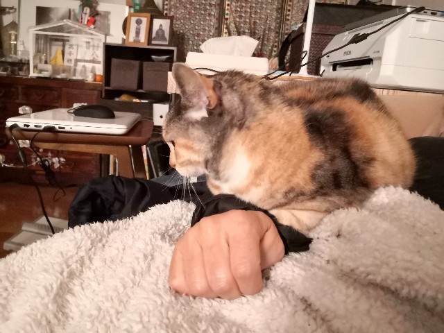 f:id:hiraryo0201:20200105081855j:plain f:id:hiraryo0201:20200105081855j:plain