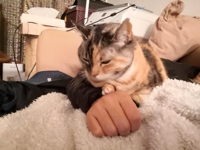 f:id:hiraryo0201:20200105081904j:plain f:id:hiraryo0201:20200105081904j:plain