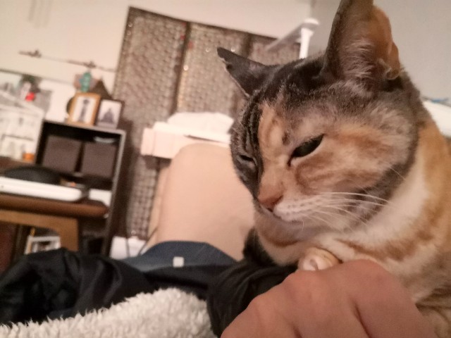 f:id:hiraryo0201:20200105081910j:plain f:id:hiraryo0201:20200105081910j:plain