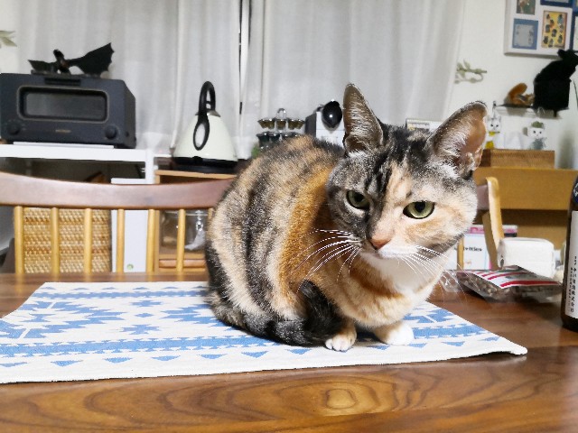 f:id:hiraryo0201:20200112014954j:plain