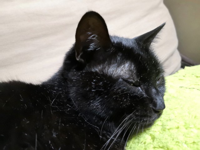 f:id:hiraryo0201:20200120140059j:plain f:id:hiraryo0201:20200120140059j:plain