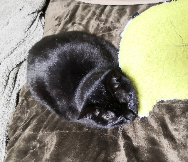 f:id:hiraryo0201:20200120140144j:plain f:id:hiraryo0201:20200120140144j:plain